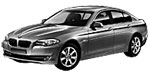 BMW F10 U0954 Fault Code